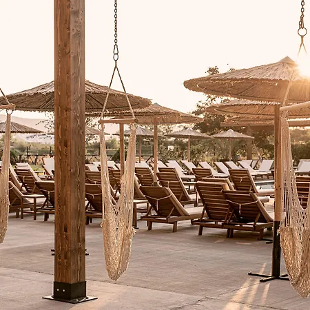 Sunny Club - Adults Only #youthfulvibes Slăntjev Brjag
