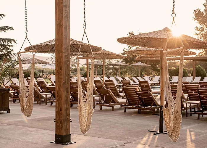 Sunny Club - Adults Only #youthfulvibes Słoneczny Brzeg